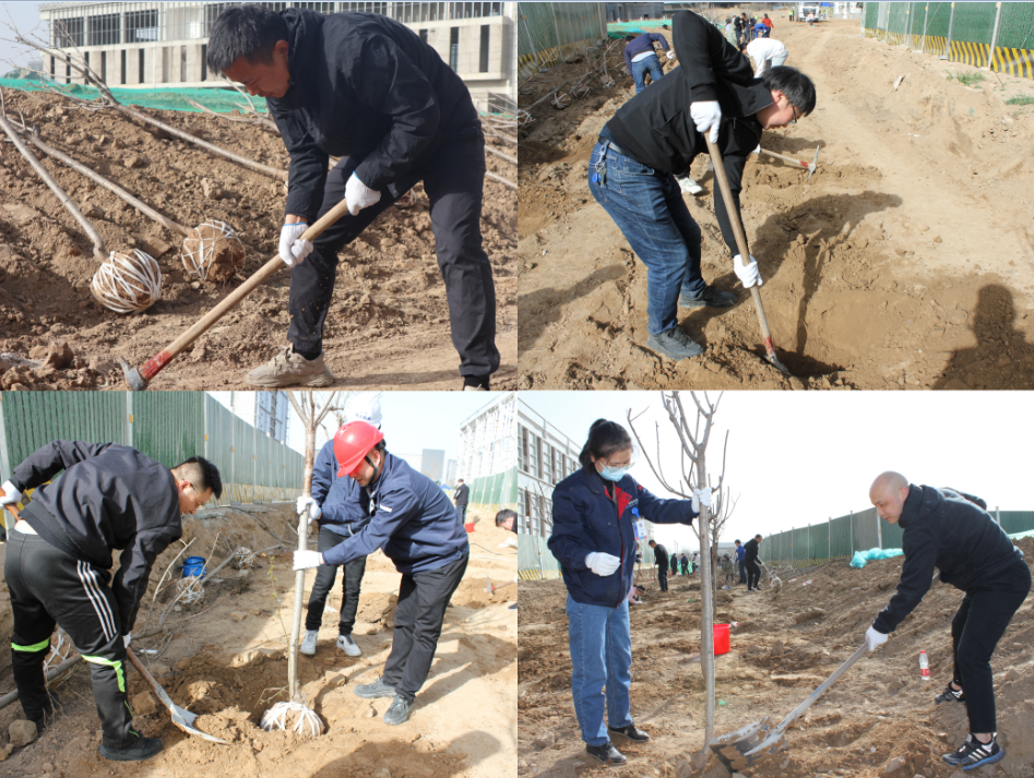 賽特公司開展“栽種新希望，奮進(jìn)新征程”植樹節(jié)主題活動